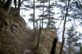 Steilhang über dem Vierwaldstättersee