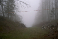 Nebel und nasse Graupeln