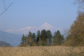 Herrlicher Weg