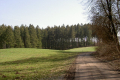 Weg am Waldrand