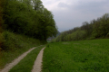 stiller Weg
