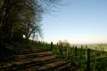 in weite Landschaft