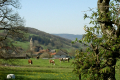 Valencongne