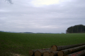 hinein ins Oberallgäu