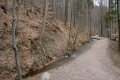 alter Wasserleitungsbach