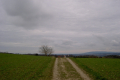 Höhe vor Ravensburg