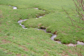 ursprüngliches Bachtal