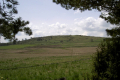 mächtigem Grasberg