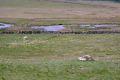 Wasserläufe