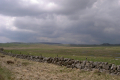 unglaubliche Landschaft des Aubrac: