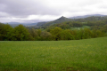 Regensattes Grün