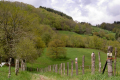 Wiesen- und Waldhänge steil rauf