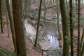 sumpfiges Naturschutzgebiet