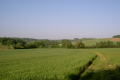 sehr kultivierte Landschaft