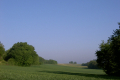 meist an Feldrändern