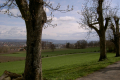 Blick zurück zum Bodensee