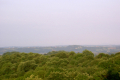 morgenbetaute Landschaft