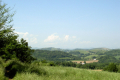 raus aus Wald, herrlicher, freier Blick
