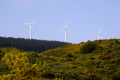 Höhenrücken mit 40 Windkraftanlagen