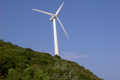 Wind wird kräftiger