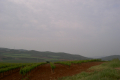 rote Erde