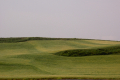 leibhafte Landschaft