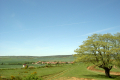 Landstraße nach Atapuerca