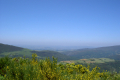 Licht, Luft, Landschaft machen mich besoffen