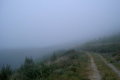 Nebel auf einsamen Höhenwegen